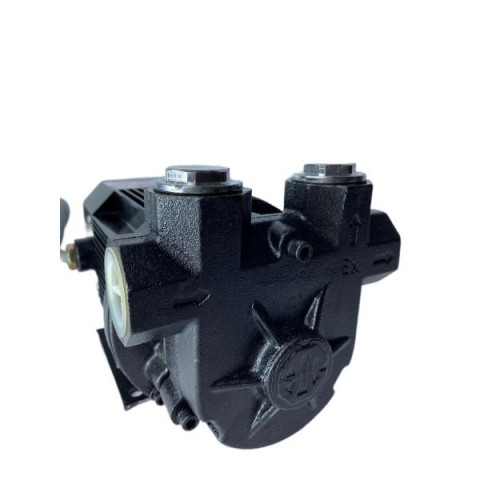 Купити Насос для бензина ЕХ 12-80