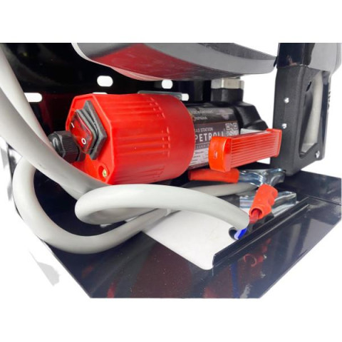 Купити Мини-АЗС для дизельного топлива Petrol Vega DC 12-60, 12 В, 60 л/мин, с фильтром 30 мкм и пистолетом