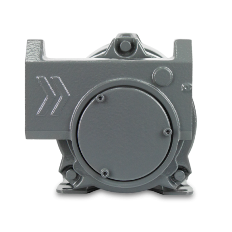 Купить Насос для бензину 220 В, IRON EX 220-50