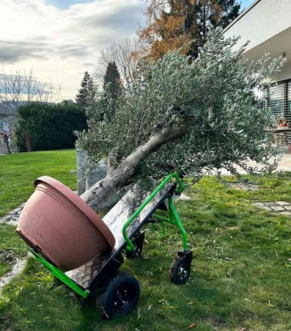 Купить Электрическая тележка ZIPPER ZI-ET260