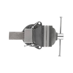 Купить Лещата слюсарні поворотні, 100 мм, 5,55 кг