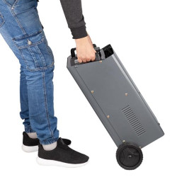 Купить Пристрій пуско-зарядний 12/24 В, 1,2 кВт, пуск 300 А, 50/75 А, 20-600 Аг