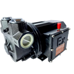 Купить Насос ЕХ ATEX   220 -80