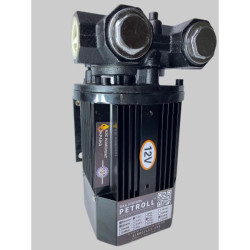 Купить Насос для бензина и дизельного топлива PETROLL EX 12-80, 12 В, 800 Вт, до 80 л/мин