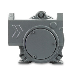 Купить Насос для бензину 220 В, IRON EX 220-50