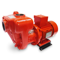 Купить CG-400 Atex електричний насос для бензину/кероснину 400л/хв 220В