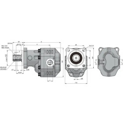 Купить Насос шестеренный KAZEL ISO EHASS 34 LEFT 3/4" 34 см³