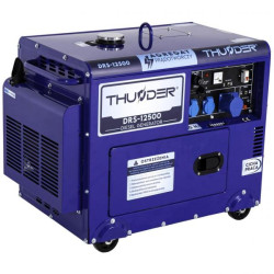 Купити Дизельный генератор THUNDER DRS-12500 + газовая плитка Orcamp CK-505 + 4 газовых картриджа 400 мл