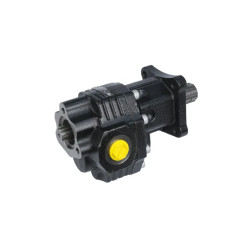 Купити Насос шестеренний KAZEL ISO EHASS TDM 82 RIGHT 1" 82 см³