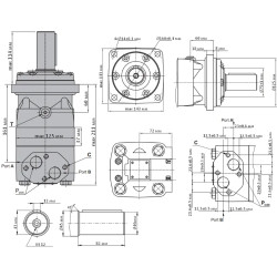 Купити Гідромотор героторний M+S Hydraulic МТ250С