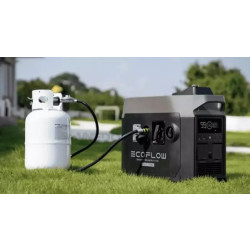 Купить Двопаливний Генератор EcoFlow Smart Generator (газ-бензин)