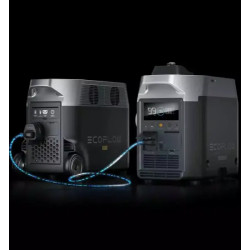 Купить Двопаливний Генератор EcoFlow Smart Generator (газ-бензин)